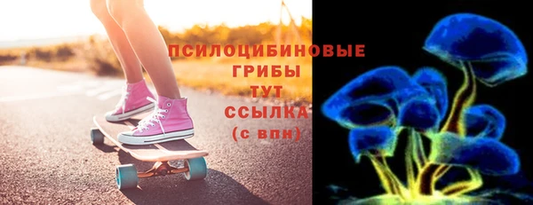 сатива Балахна