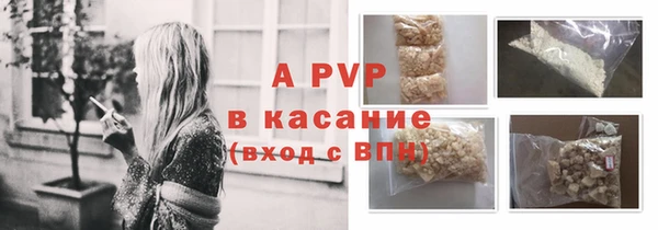 сатива Балахна