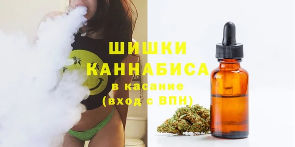 сатива Балахна