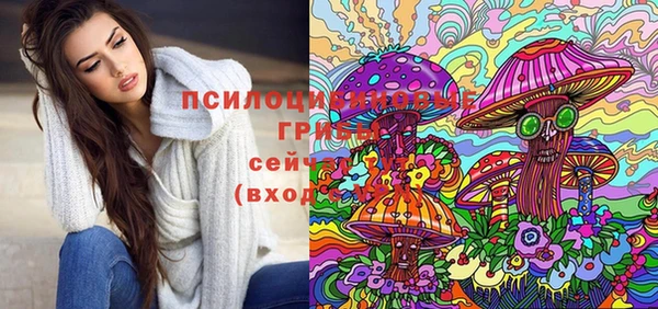 spice Аркадак
