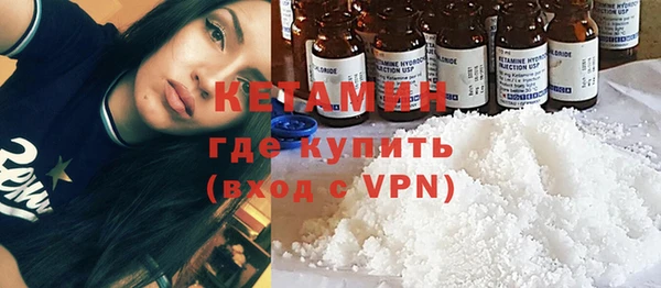 сатива Балахна
