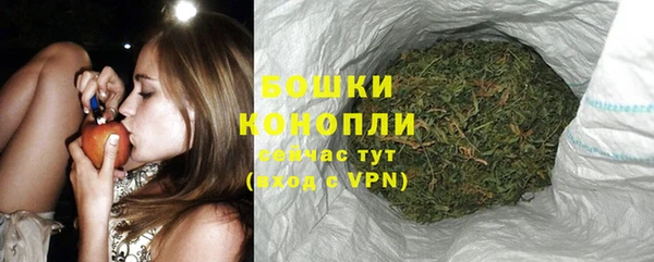spice Аркадак