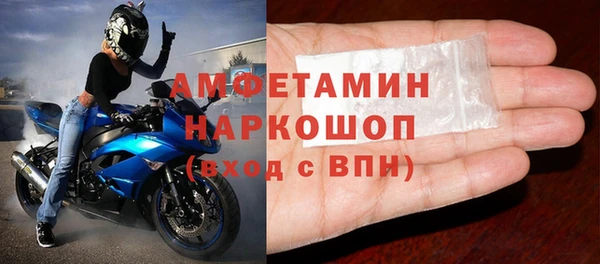 сатива Балахна