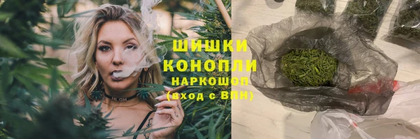 сатива Балахна