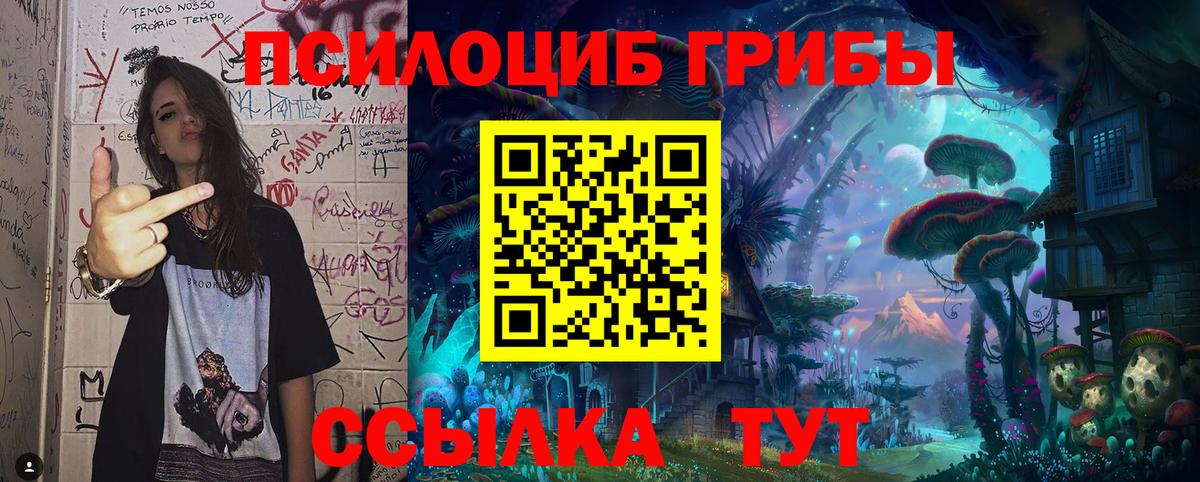 Псилоцибиновые грибы Cubensis Благодарный