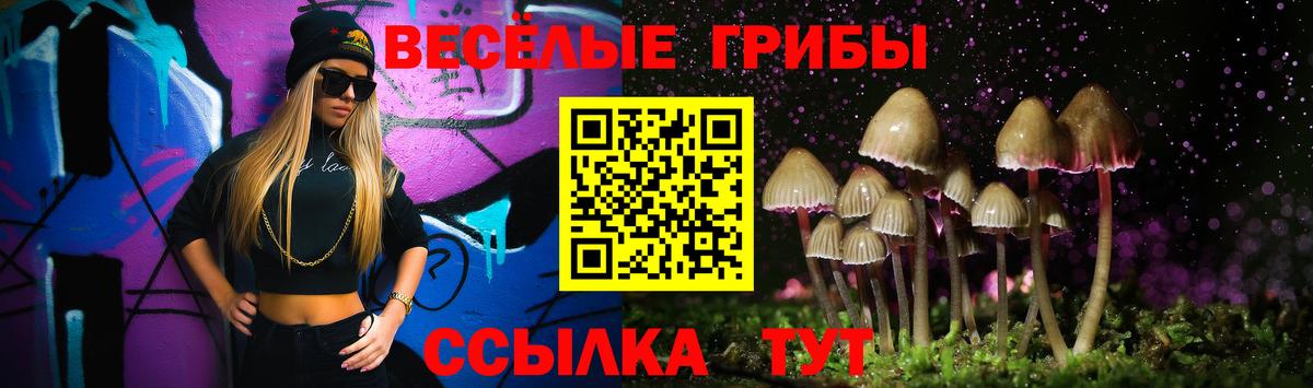 Благодарный  Псилоцибиновые грибы ЛСД  Вход с VPN  Галлюциногенные грибы Psilocybine cubensis 