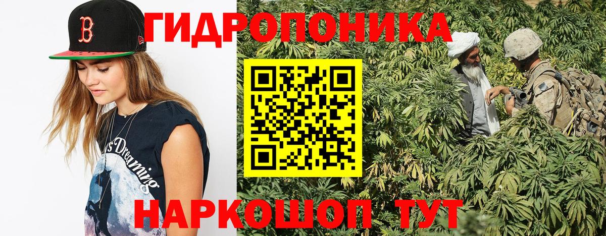 МАРИХУАНА Ganja Благодарный